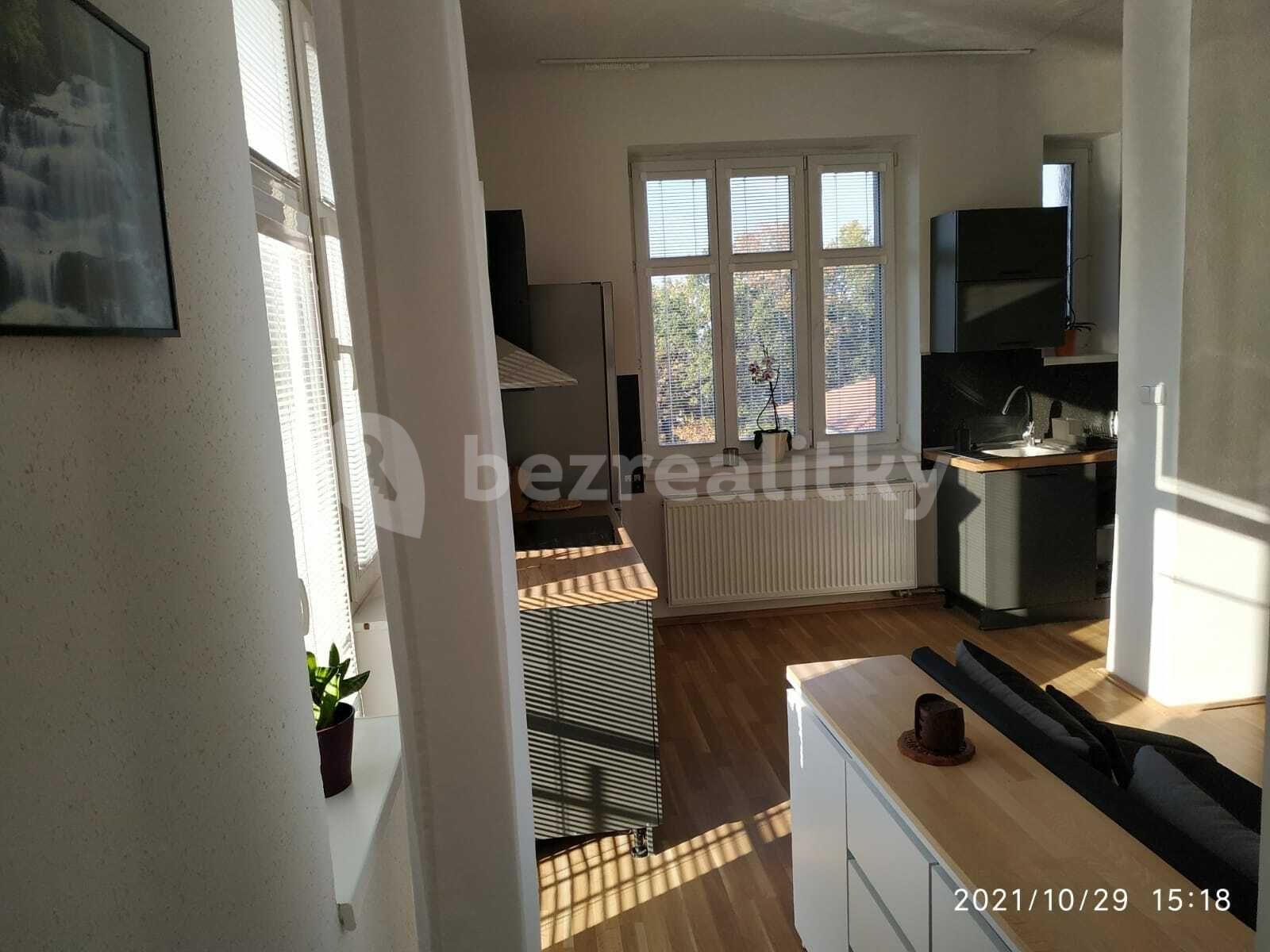 1 bedroom with open-plan kitchen flat to rent, 38 m², Na Okraji, Prague, Prague