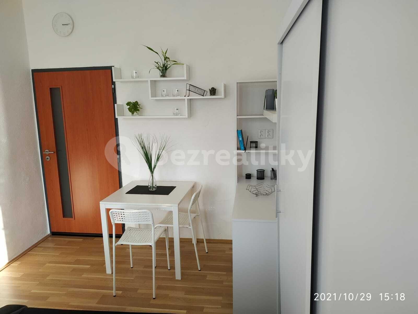 1 bedroom with open-plan kitchen flat to rent, 38 m², Na Okraji, Prague, Prague