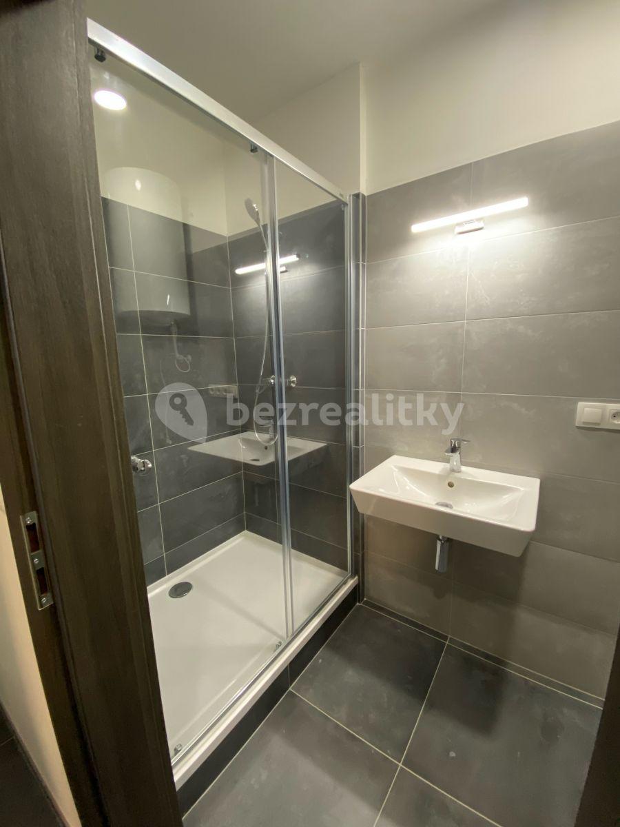 1 bedroom with open-plan kitchen flat to rent, 42 m², Jihlavská, Troubsko, Jihomoravský Region