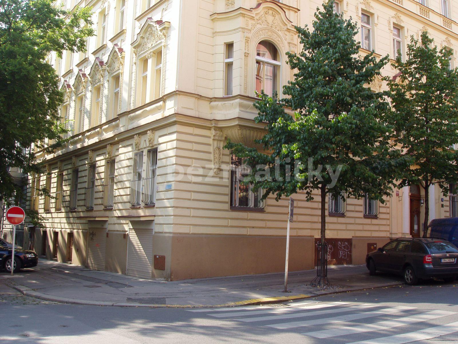 1 bedroom with open-plan kitchen flat to rent, 51 m², Chodská, Prague, Prague