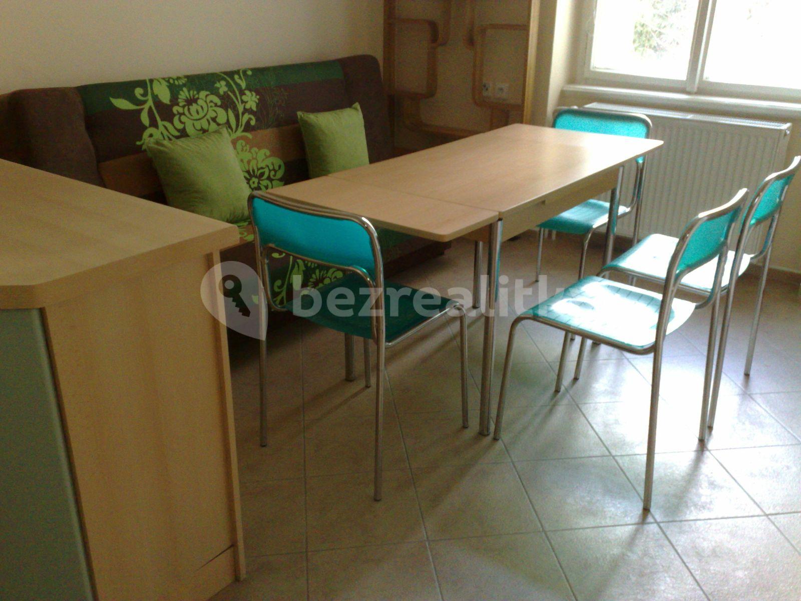 1 bedroom with open-plan kitchen flat to rent, 51 m², Chodská, Prague, Prague