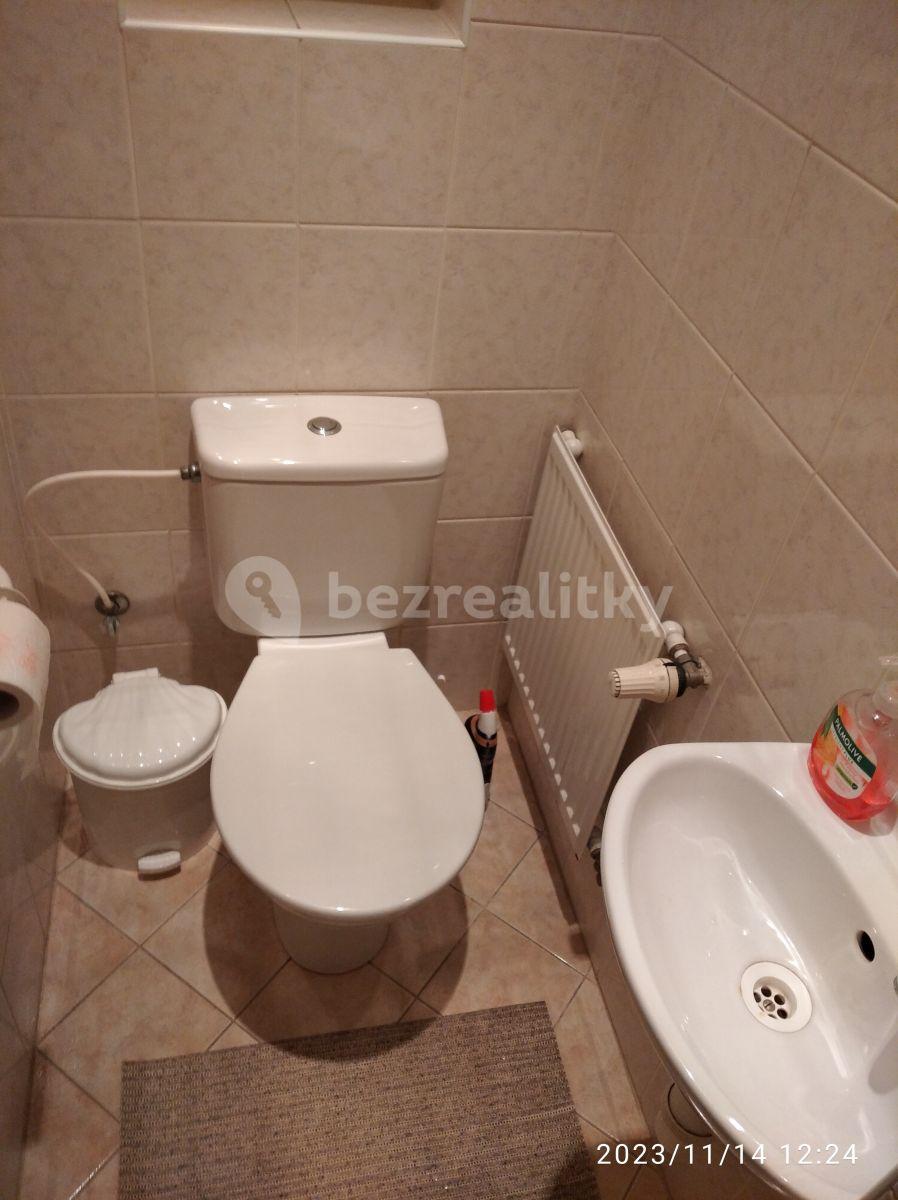 1 bedroom with open-plan kitchen flat to rent, 51 m², Chodská, Prague, Prague