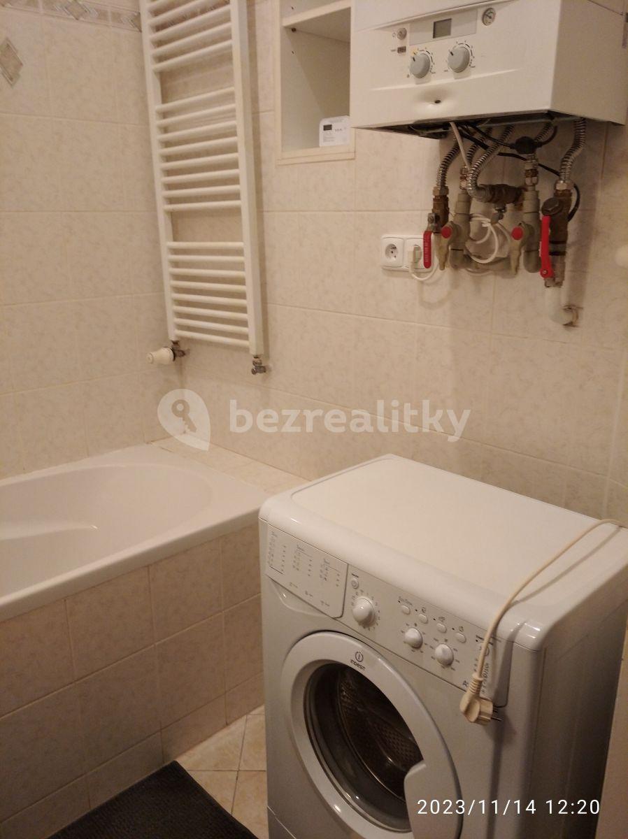 1 bedroom with open-plan kitchen flat to rent, 51 m², Chodská, Prague, Prague