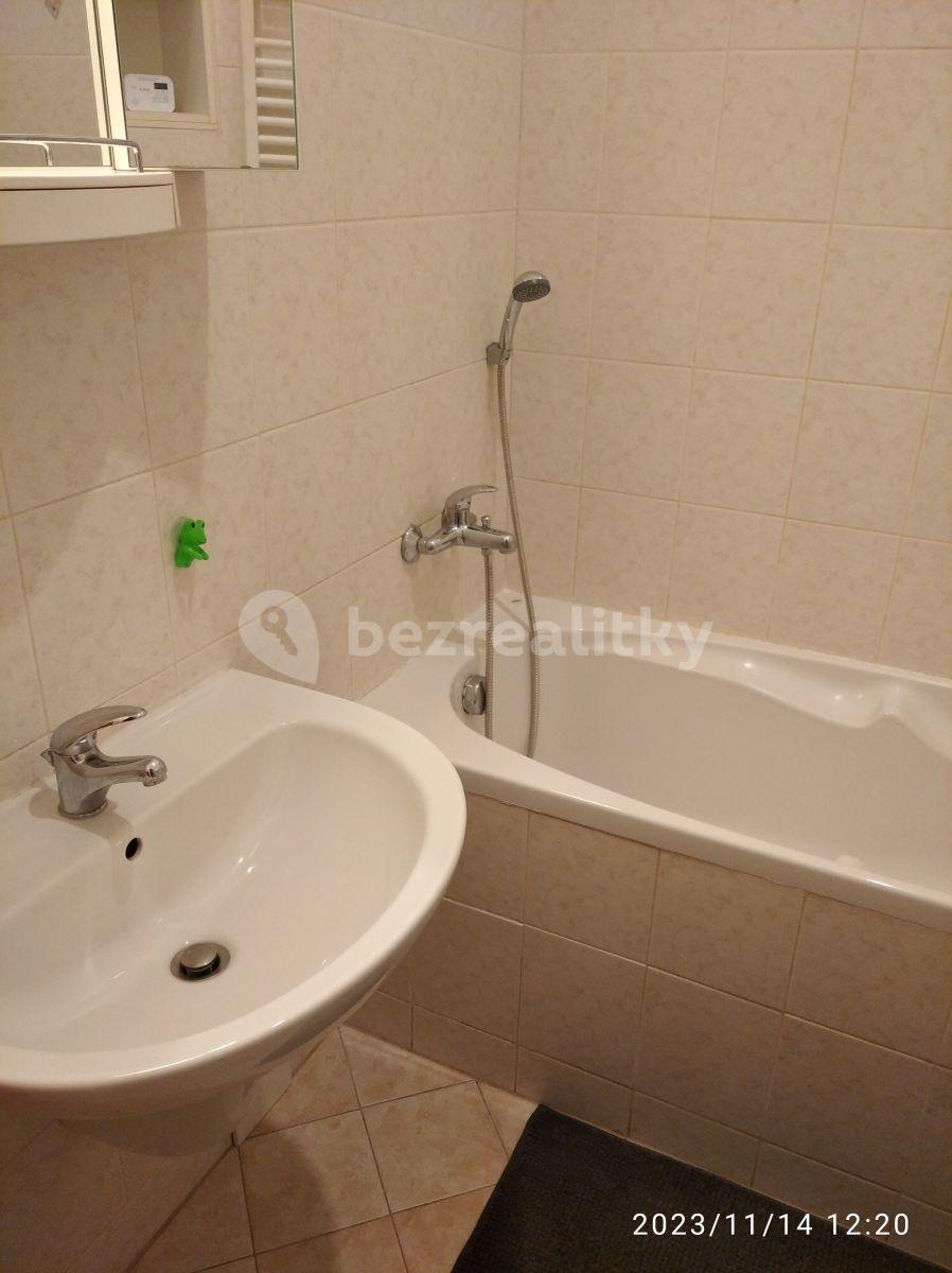 1 bedroom with open-plan kitchen flat to rent, 51 m², Chodská, Prague, Prague