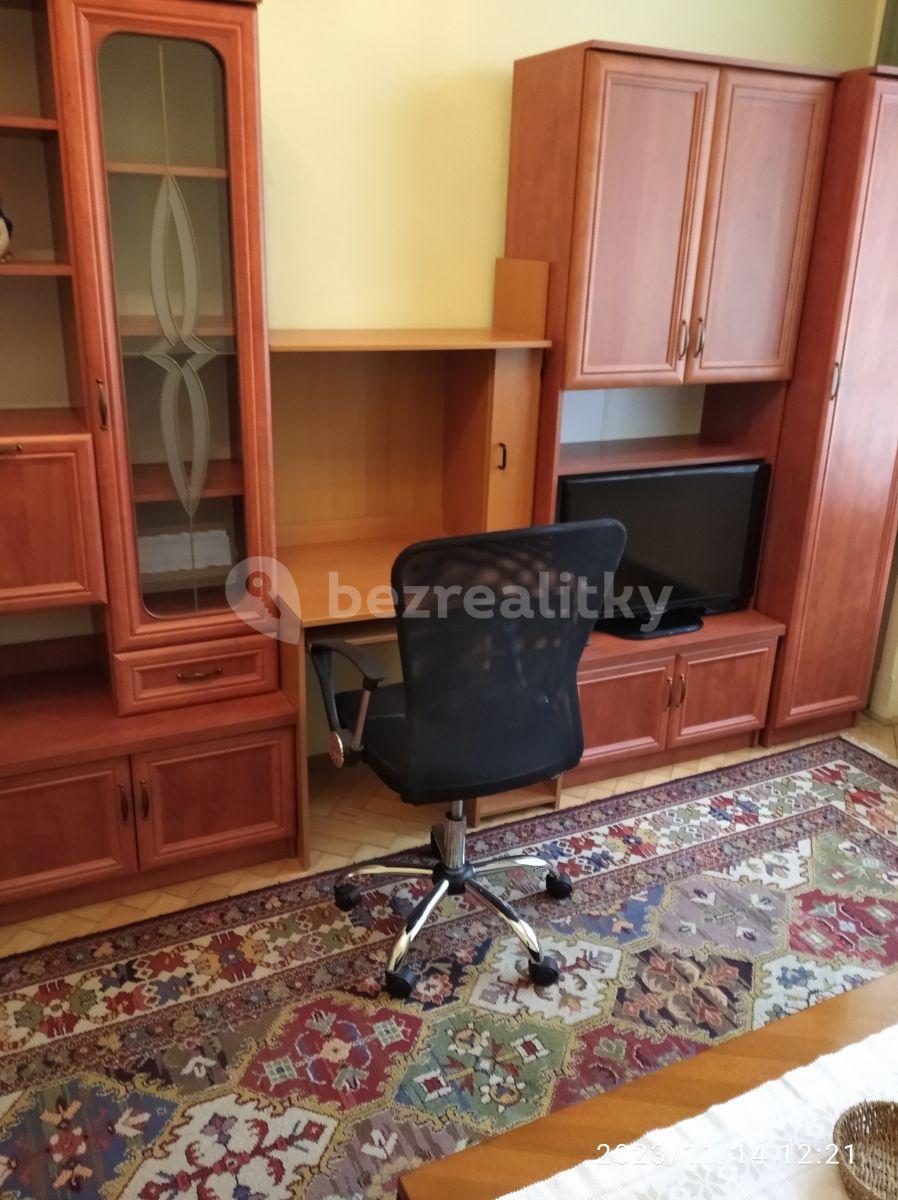 1 bedroom with open-plan kitchen flat to rent, 51 m², Chodská, Prague, Prague