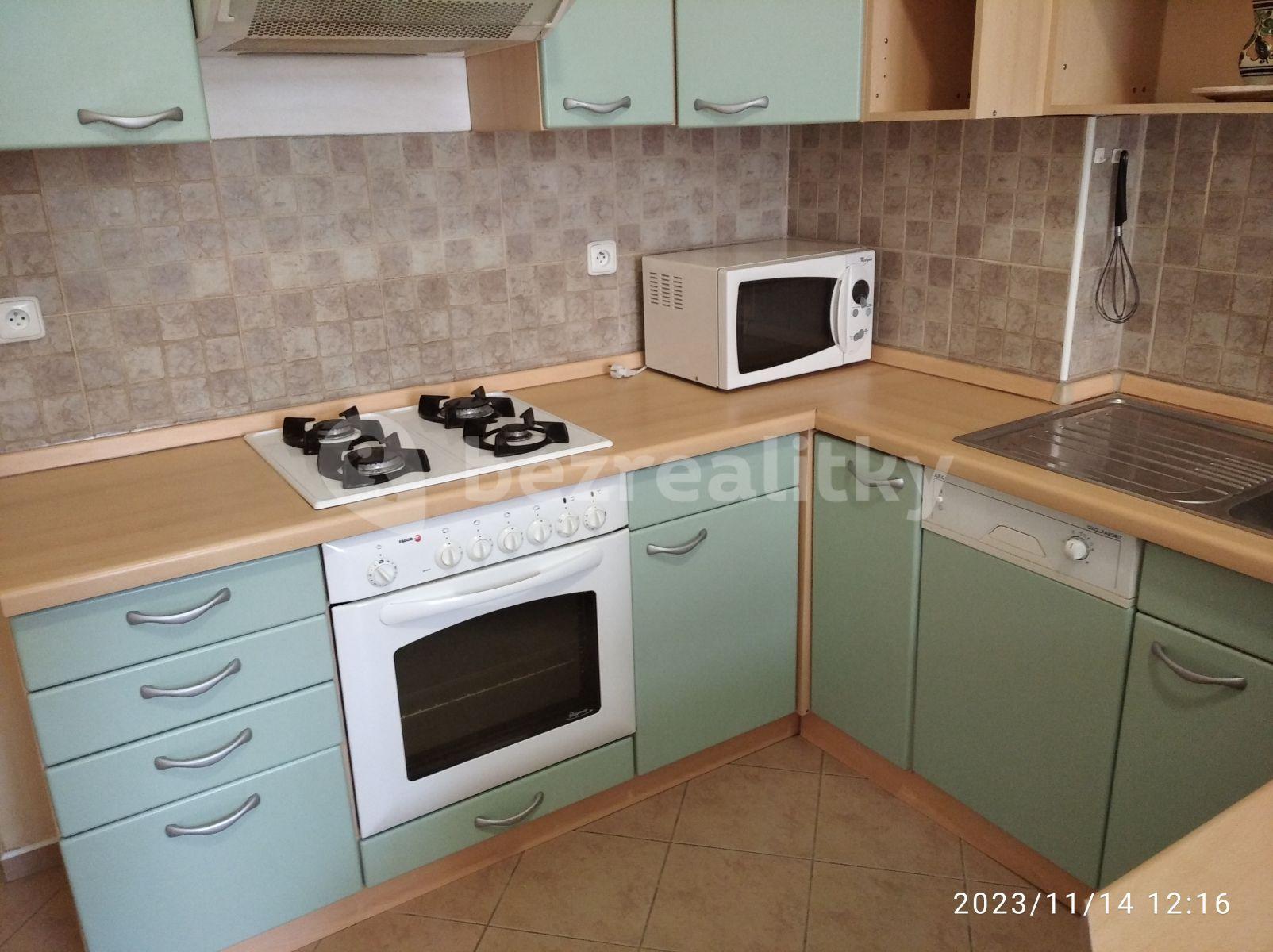 1 bedroom with open-plan kitchen flat to rent, 51 m², Chodská, Prague, Prague