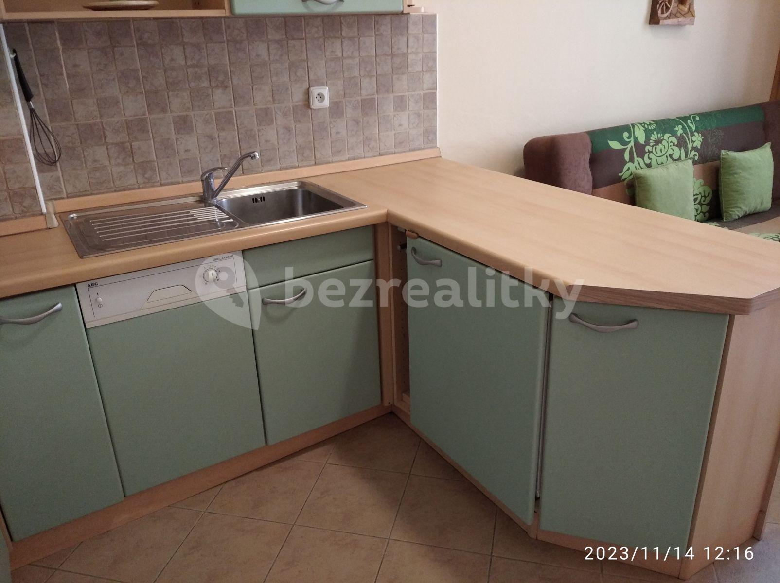 1 bedroom with open-plan kitchen flat to rent, 51 m², Chodská, Prague, Prague