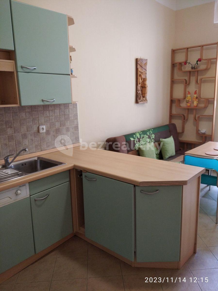 1 bedroom with open-plan kitchen flat to rent, 51 m², Chodská, Prague, Prague