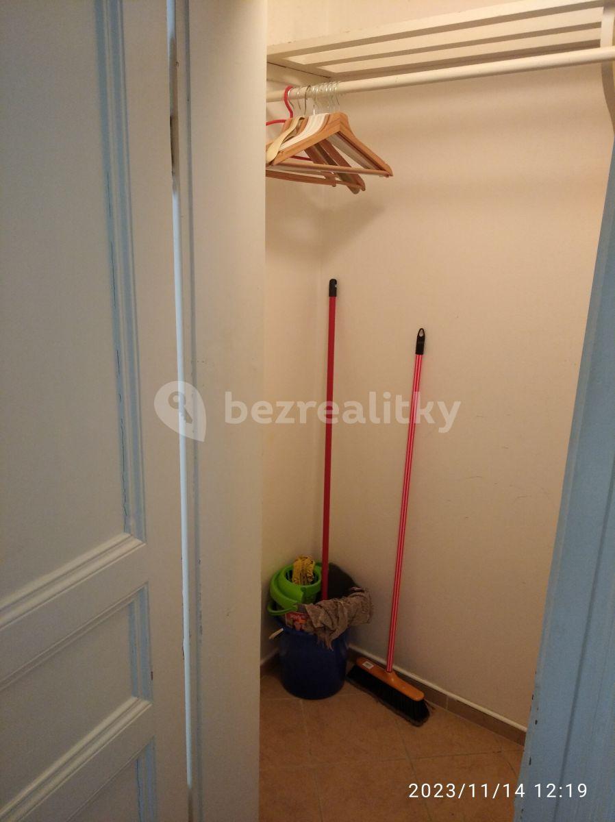 1 bedroom with open-plan kitchen flat to rent, 51 m², Chodská, Prague, Prague