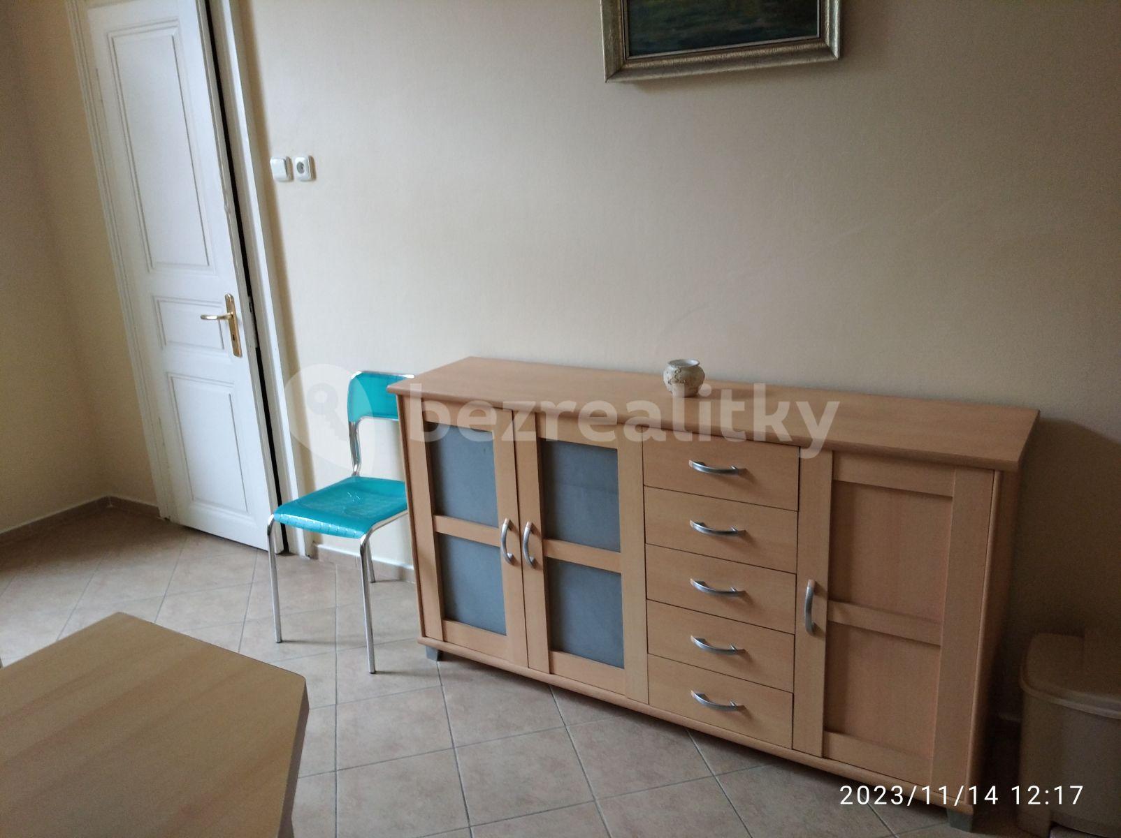 1 bedroom with open-plan kitchen flat to rent, 51 m², Chodská, Prague, Prague