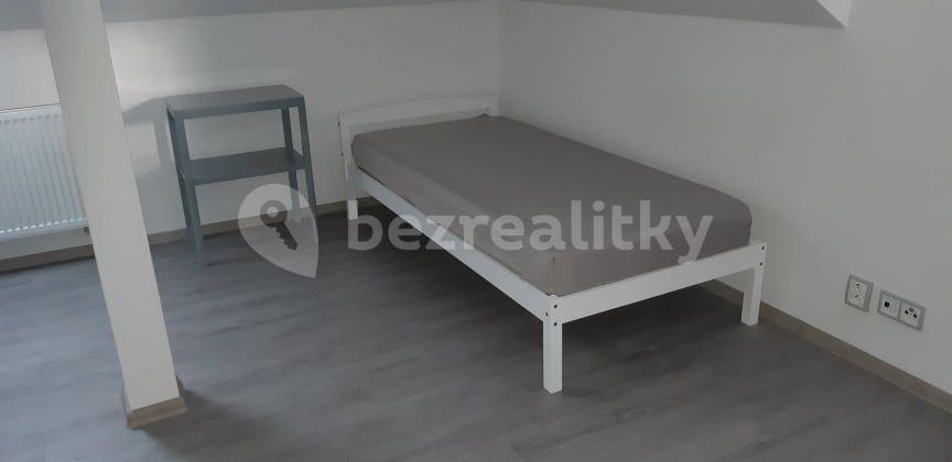 1 bedroom flat to rent, 60 m², Želivecká, Prague, Prague