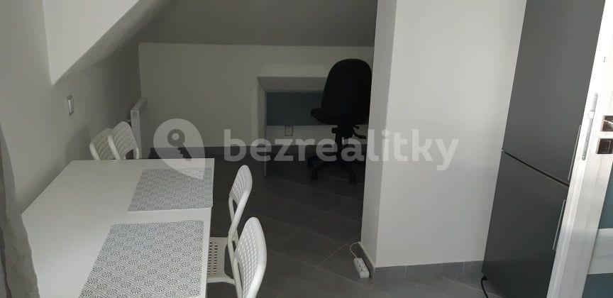 1 bedroom flat to rent, 60 m², Želivecká, Prague, Prague