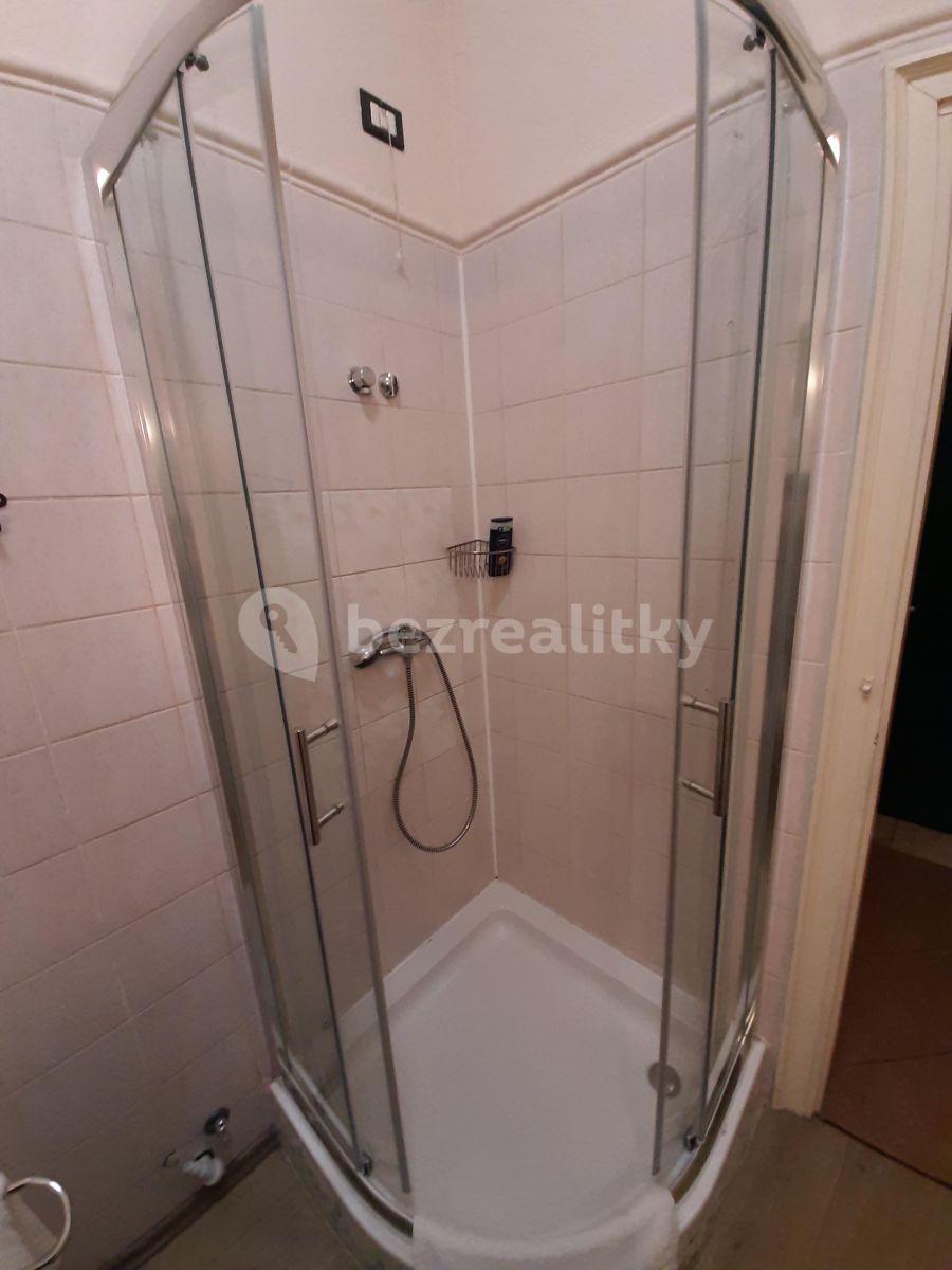 1 bedroom flat to rent, 40 m², Duškova, Prague, Prague