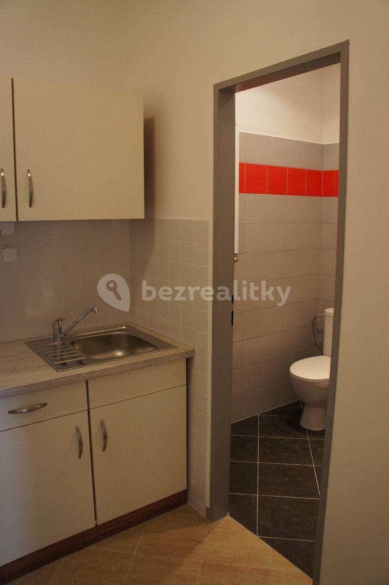 Studio flat to rent, 30 m², Na Kopečku, Prague, Prague