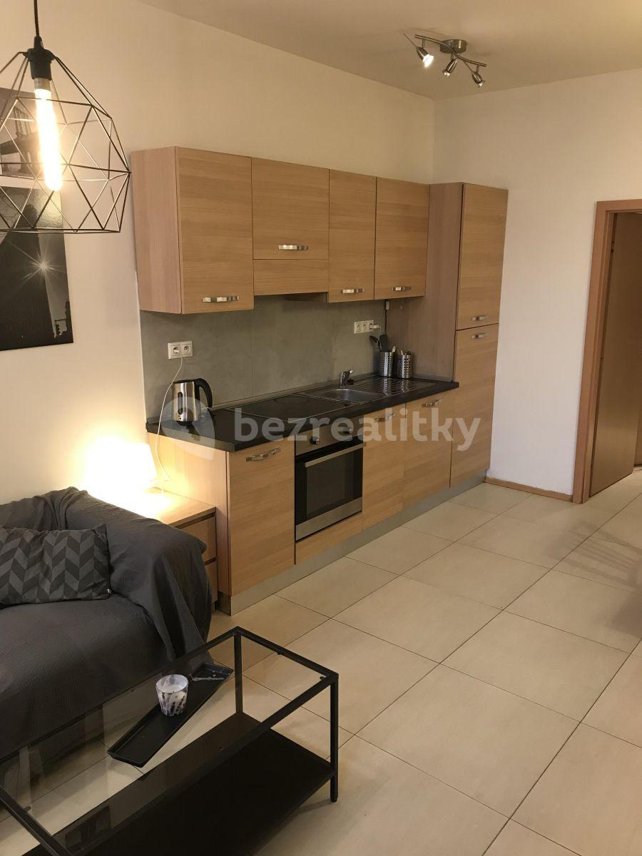 2 bedroom with open-plan kitchen flat to rent, 65 m², Táboritská, Prague, Prague