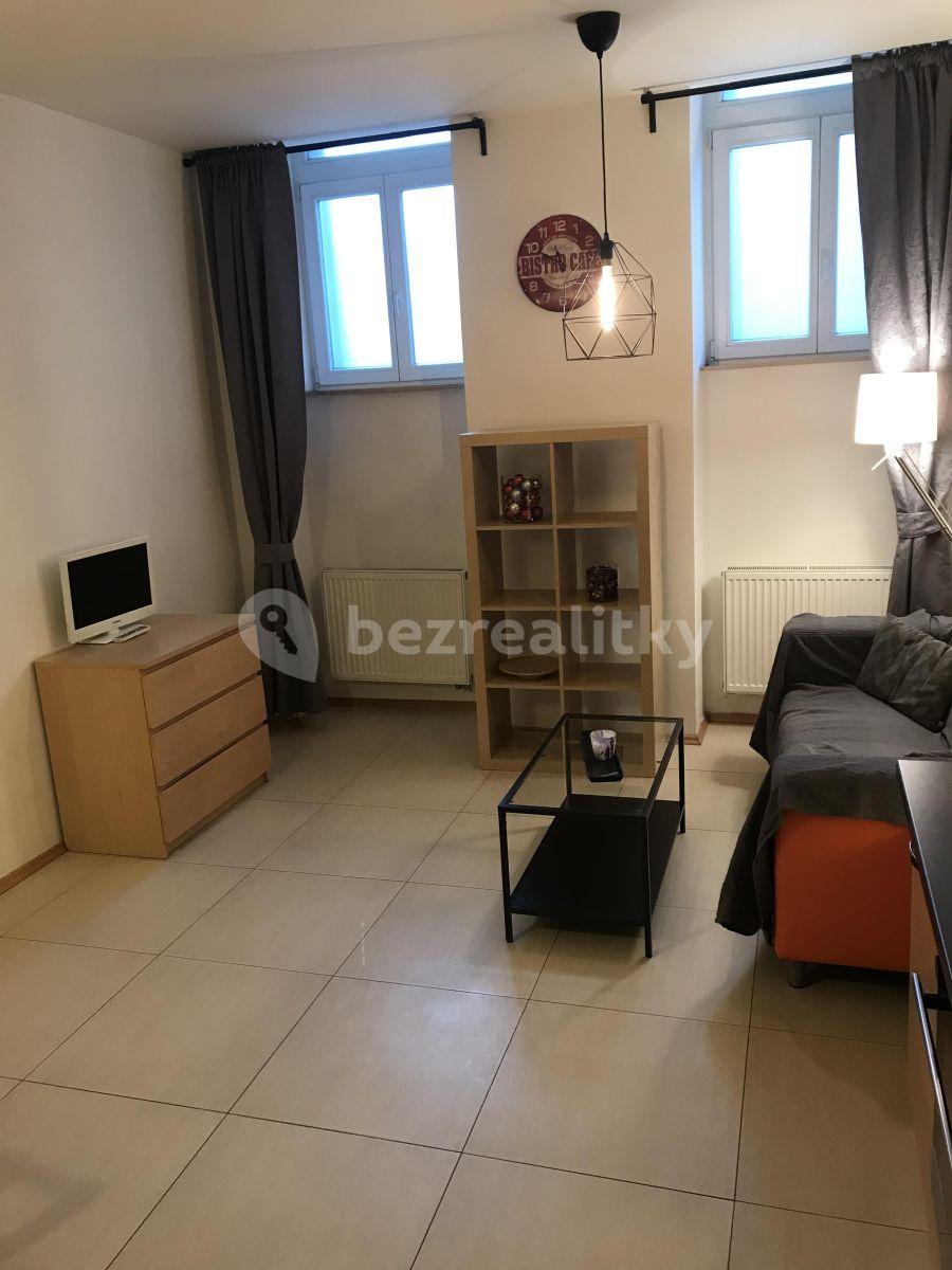 2 bedroom with open-plan kitchen flat to rent, 65 m², Táboritská, Prague, Prague