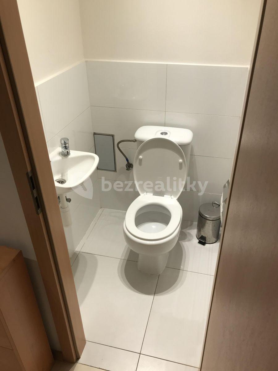 2 bedroom with open-plan kitchen flat to rent, 65 m², Táboritská, Prague, Prague