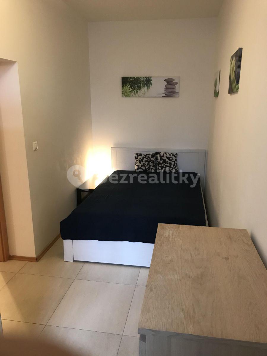 2 bedroom with open-plan kitchen flat to rent, 65 m², Táboritská, Prague, Prague