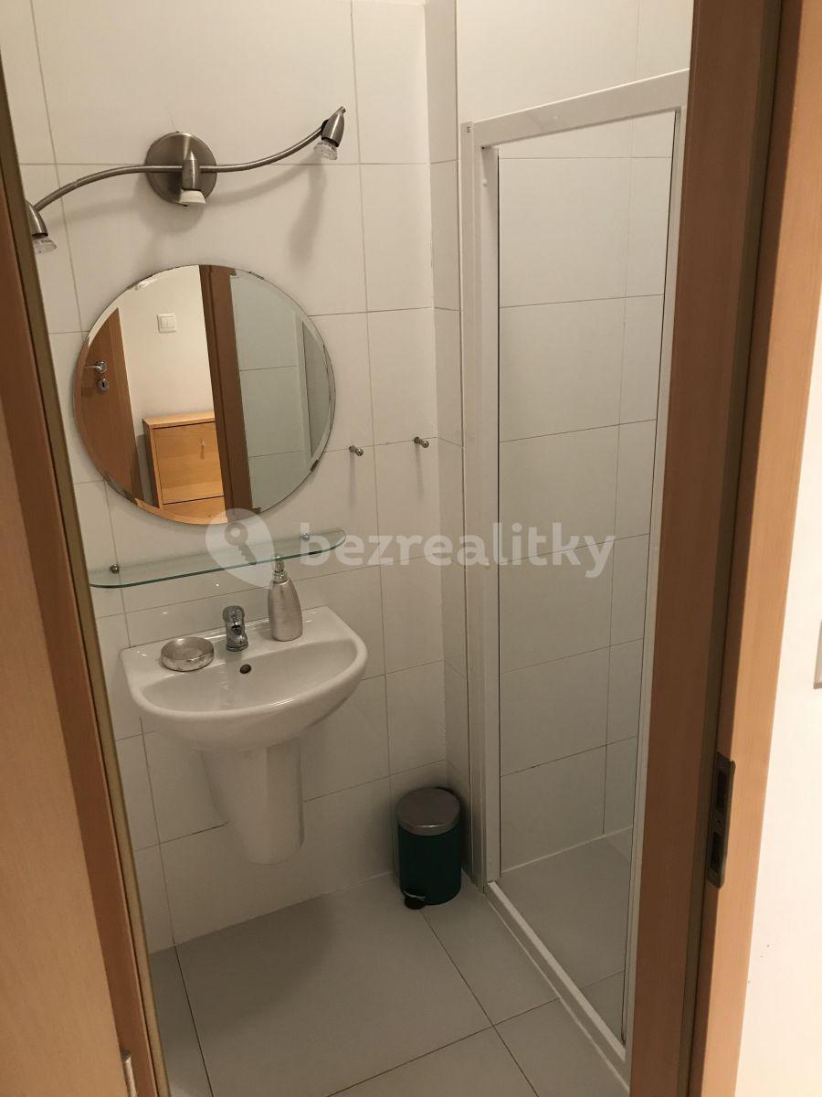 2 bedroom with open-plan kitchen flat to rent, 65 m², Táboritská, Prague, Prague