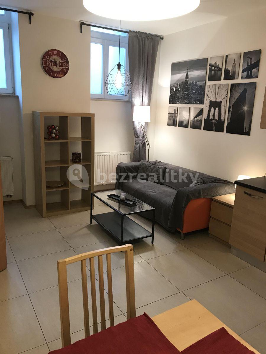 2 bedroom with open-plan kitchen flat to rent, 65 m², Táboritská, Prague, Prague