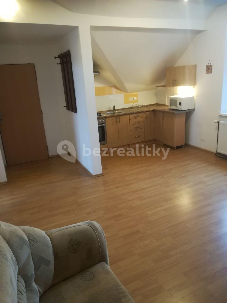 1 bedroom with open-plan kitchen flat to rent, 42 m², K Vyhlídce, Prague, Prague