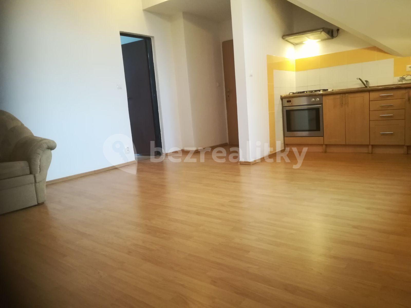 1 bedroom with open-plan kitchen flat to rent, 42 m², K Vyhlídce, Prague, Prague