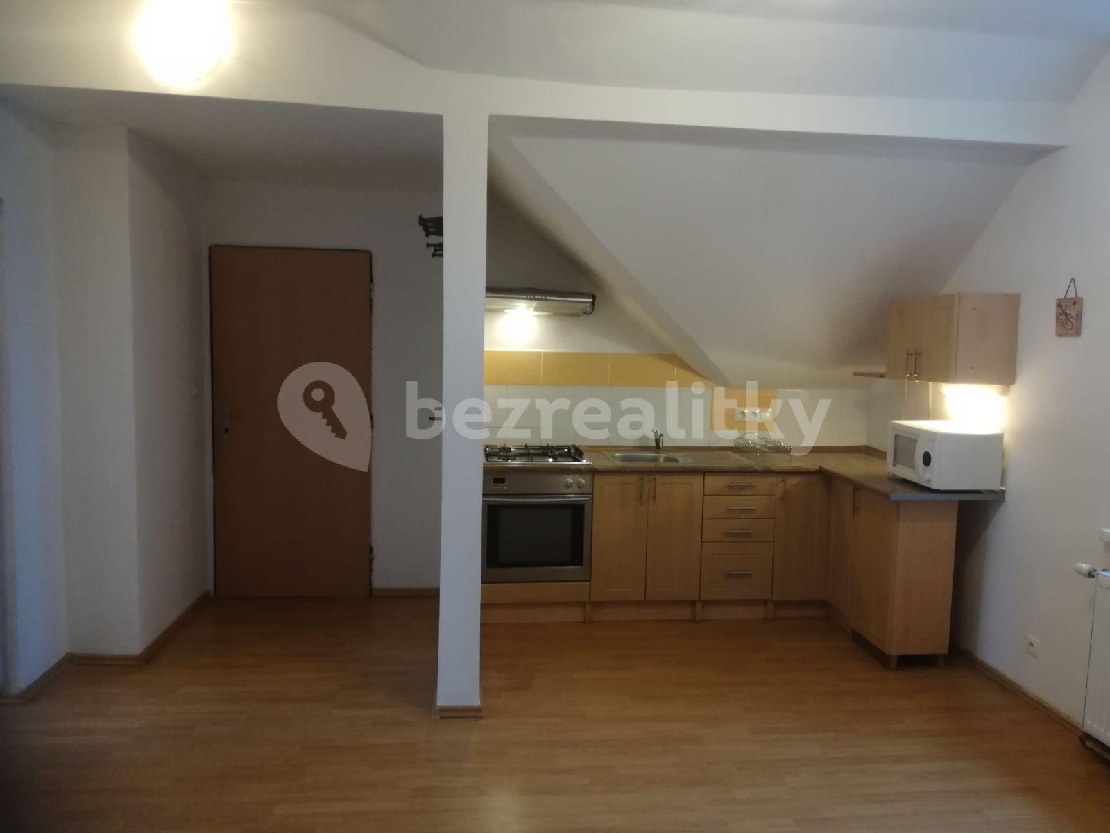 1 bedroom with open-plan kitchen flat to rent, 42 m², K Vyhlídce, Prague, Prague