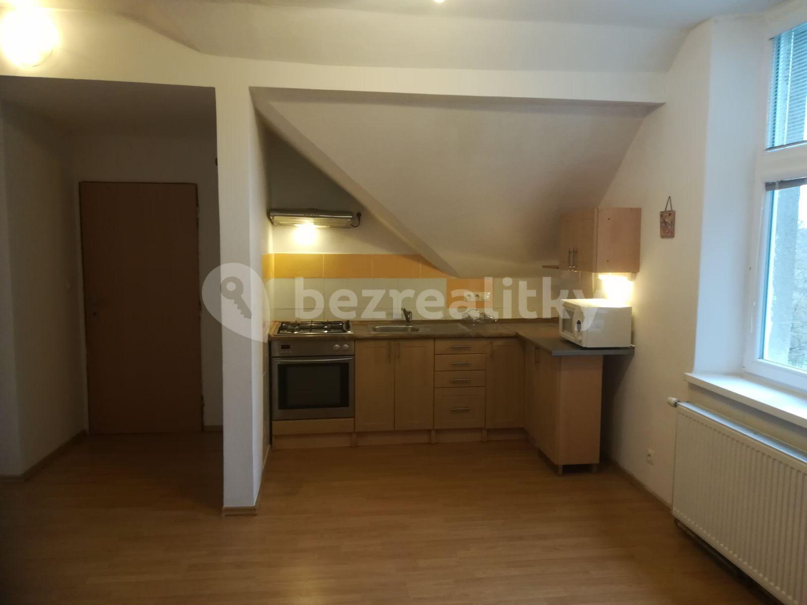 1 bedroom with open-plan kitchen flat to rent, 42 m², K Vyhlídce, Prague, Prague