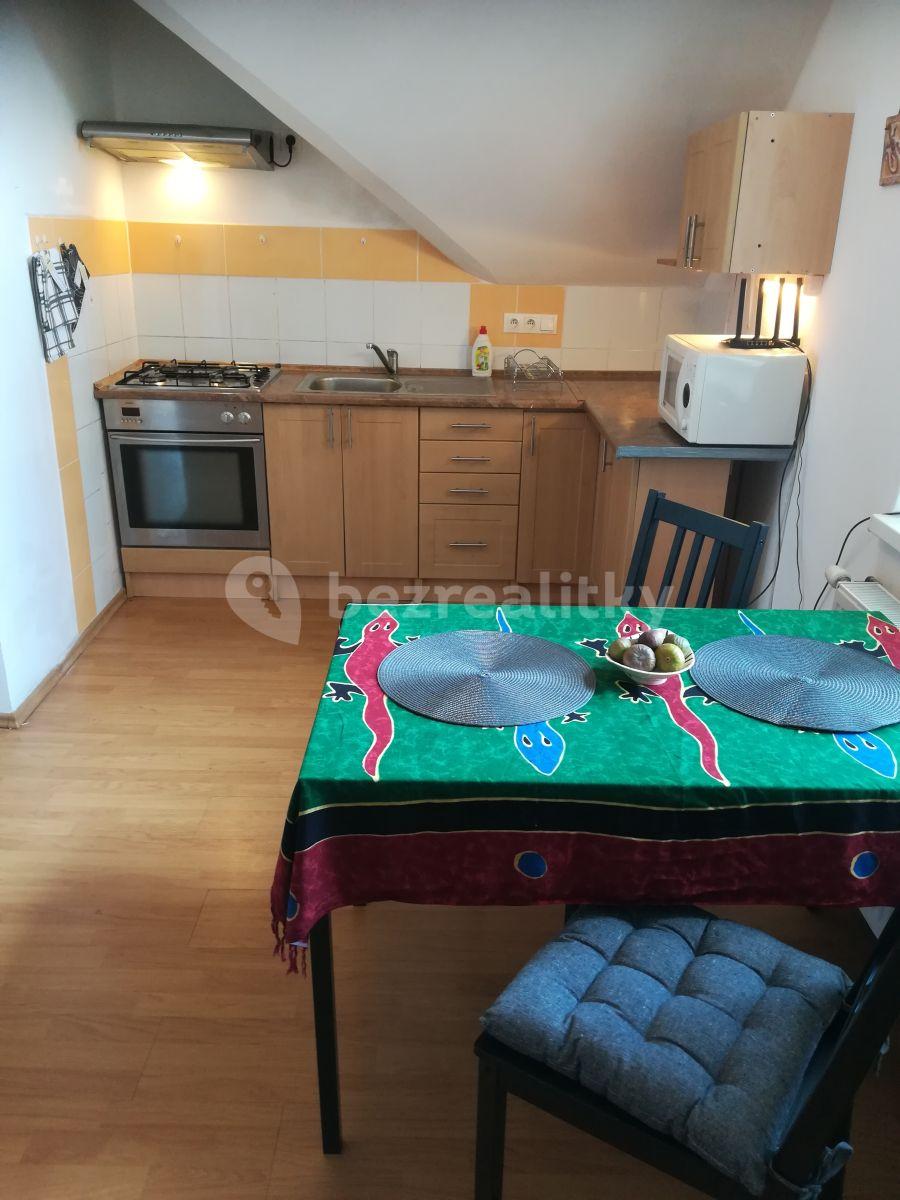 1 bedroom with open-plan kitchen flat to rent, 42 m², K Vyhlídce, Prague, Prague