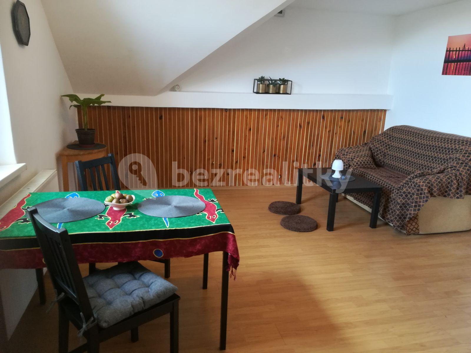 1 bedroom with open-plan kitchen flat to rent, 42 m², K Vyhlídce, Prague, Prague