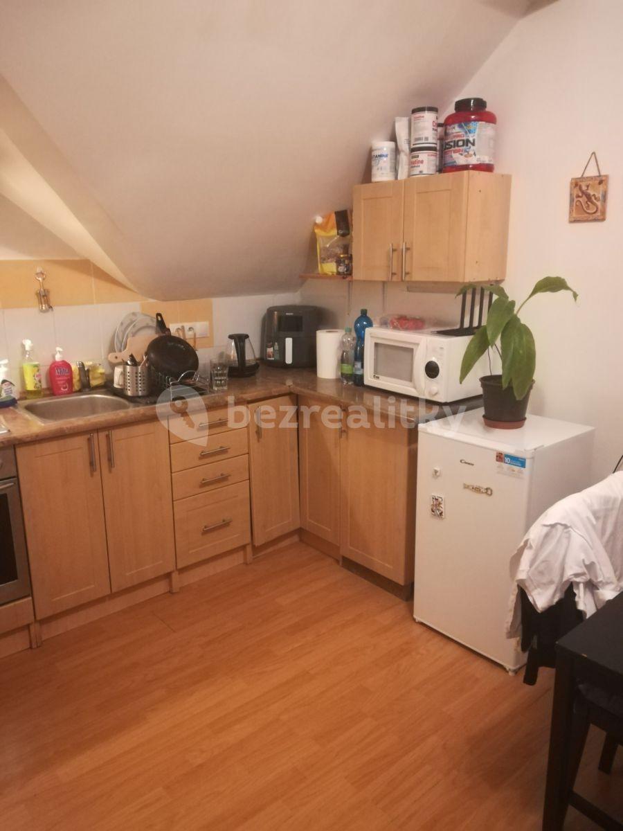 1 bedroom with open-plan kitchen flat to rent, 42 m², K Vyhlídce, Prague, Prague