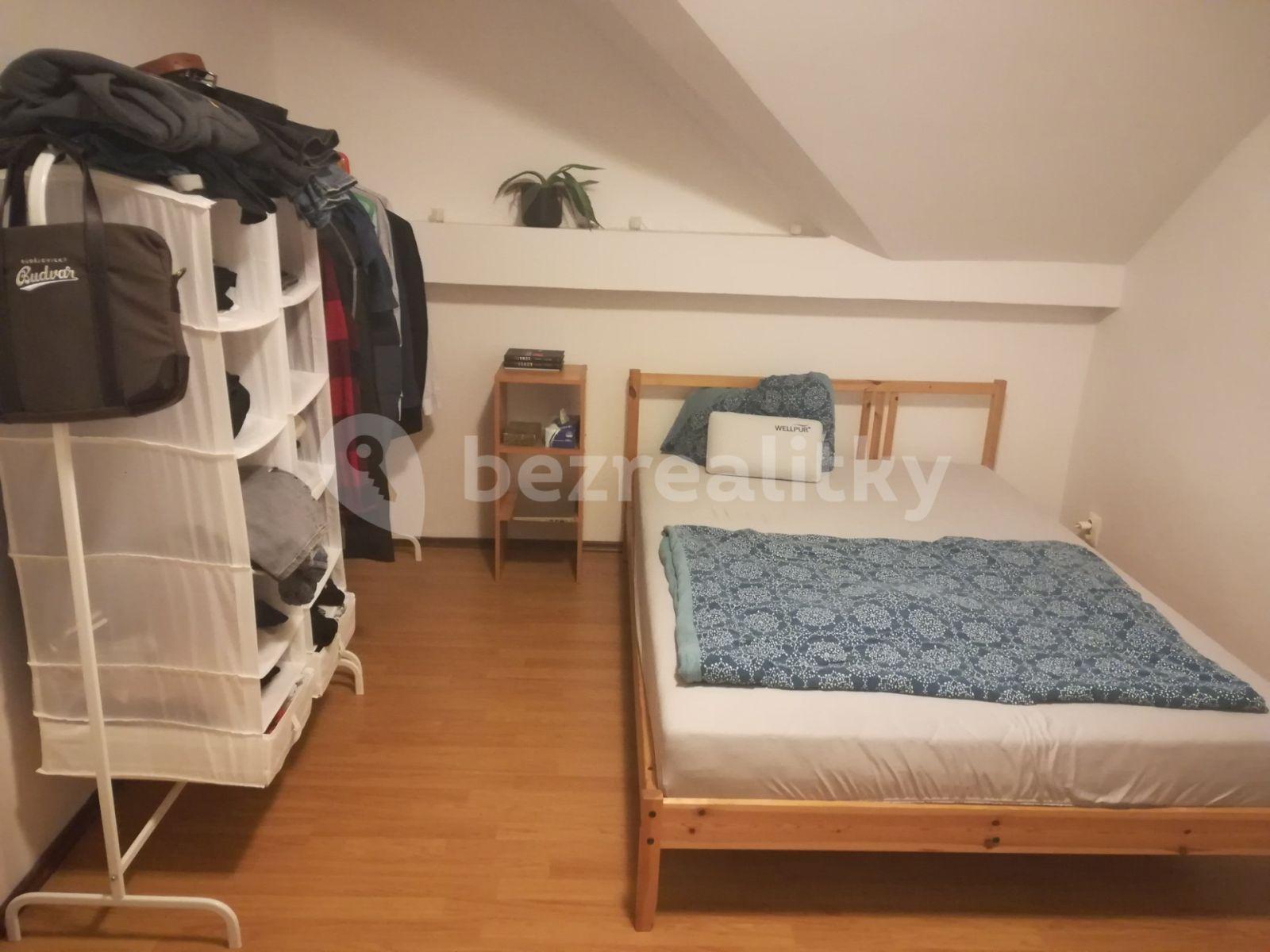 1 bedroom with open-plan kitchen flat to rent, 42 m², K Vyhlídce, Prague, Prague