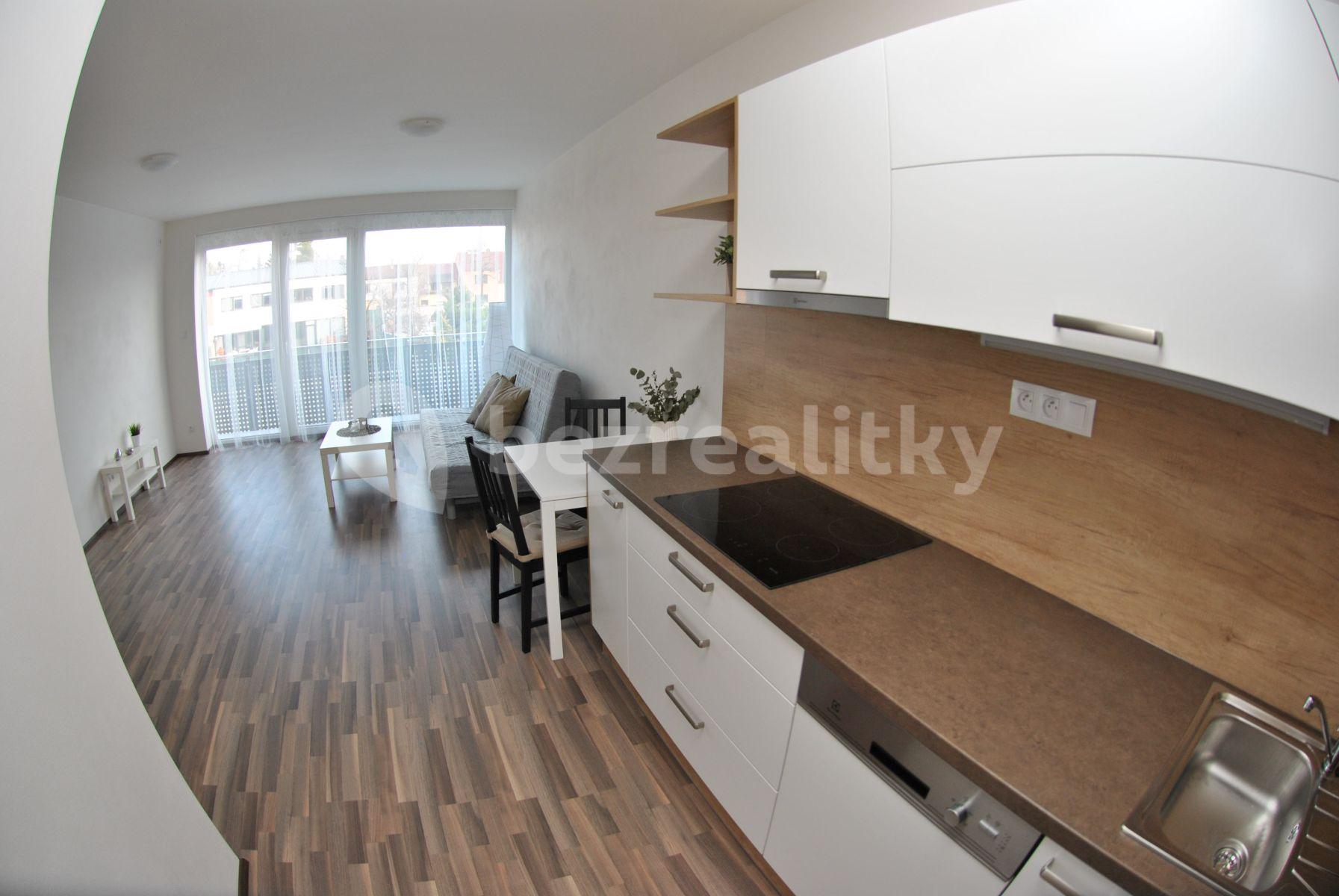 1 bedroom with open-plan kitchen flat to rent, 53 m², Tuřanské náměstí, Brno, Jihomoravský Region