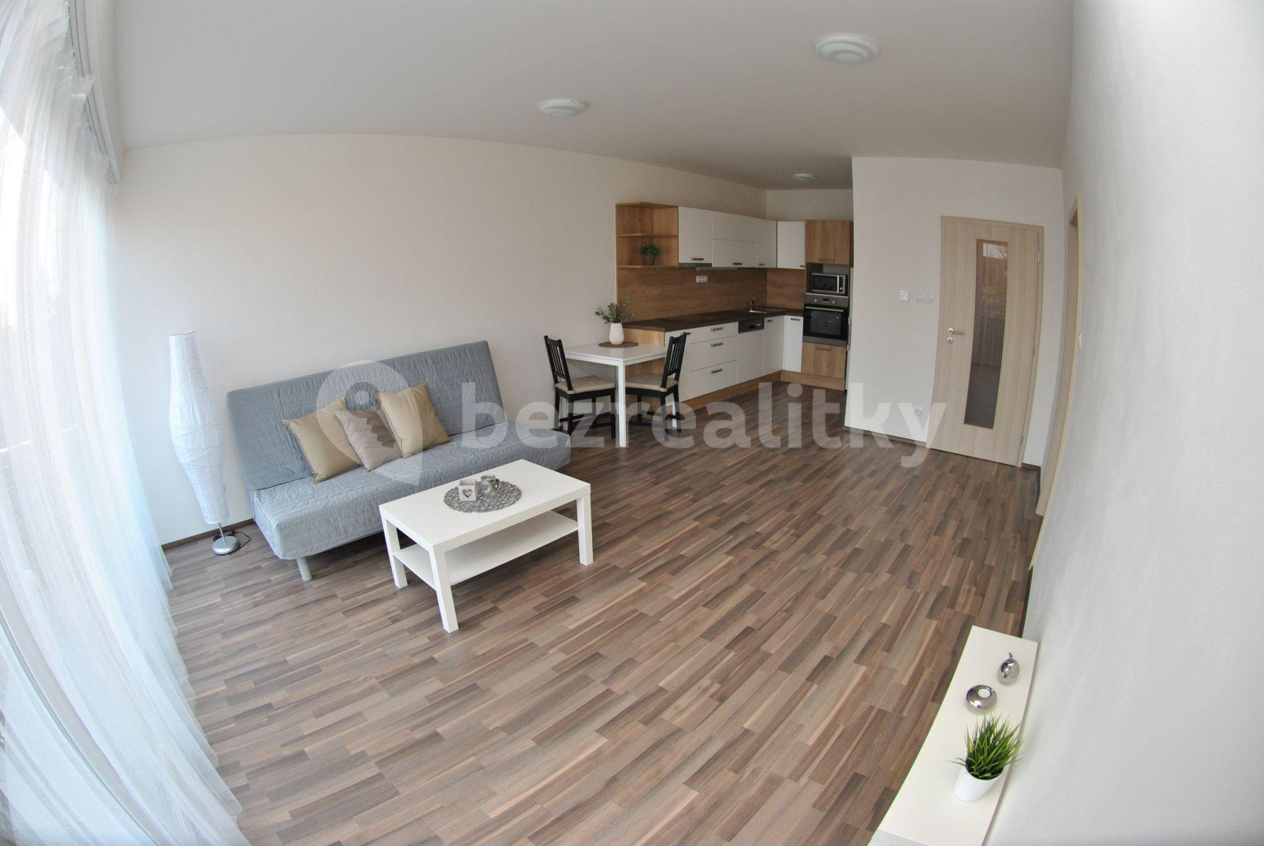 1 bedroom with open-plan kitchen flat to rent, 53 m², Tuřanské náměstí, Brno, Jihomoravský Region