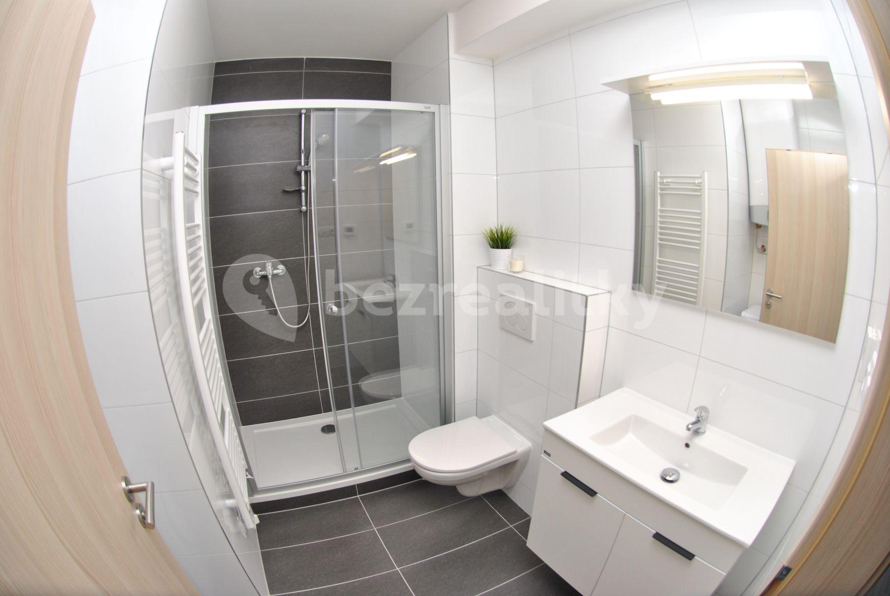 1 bedroom with open-plan kitchen flat to rent, 53 m², Tuřanské náměstí, Brno, Jihomoravský Region