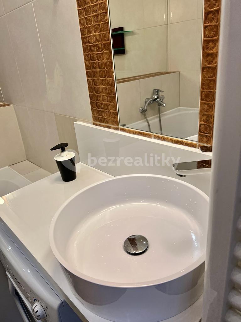 1 bedroom with open-plan kitchen flat to rent, 40 m², Americká, Prague, Prague