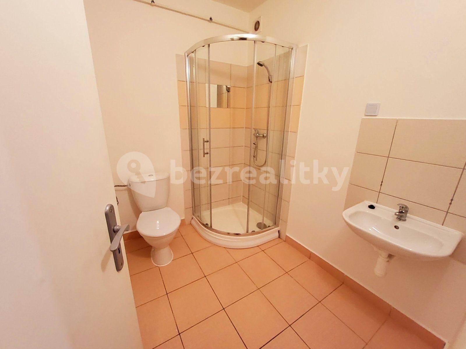 1 bedroom with open-plan kitchen flat to rent, 41 m², Řecká, Karviná, Moravskoslezský Region