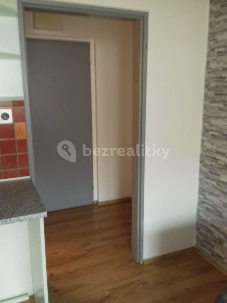 1 bedroom with open-plan kitchen flat to rent, 45 m², Novákových, Prague, Prague