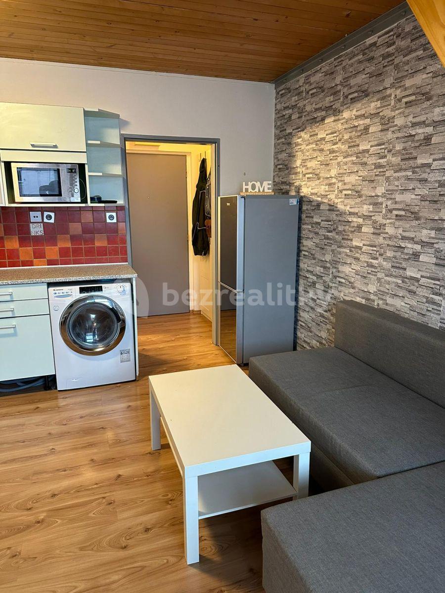 1 bedroom with open-plan kitchen flat to rent, 45 m², Novákových, Prague, Prague