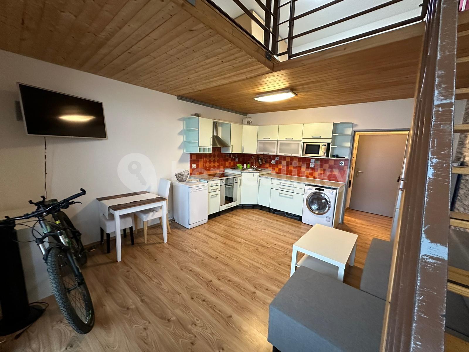 1 bedroom with open-plan kitchen flat to rent, 45 m², Novákových, Prague, Prague