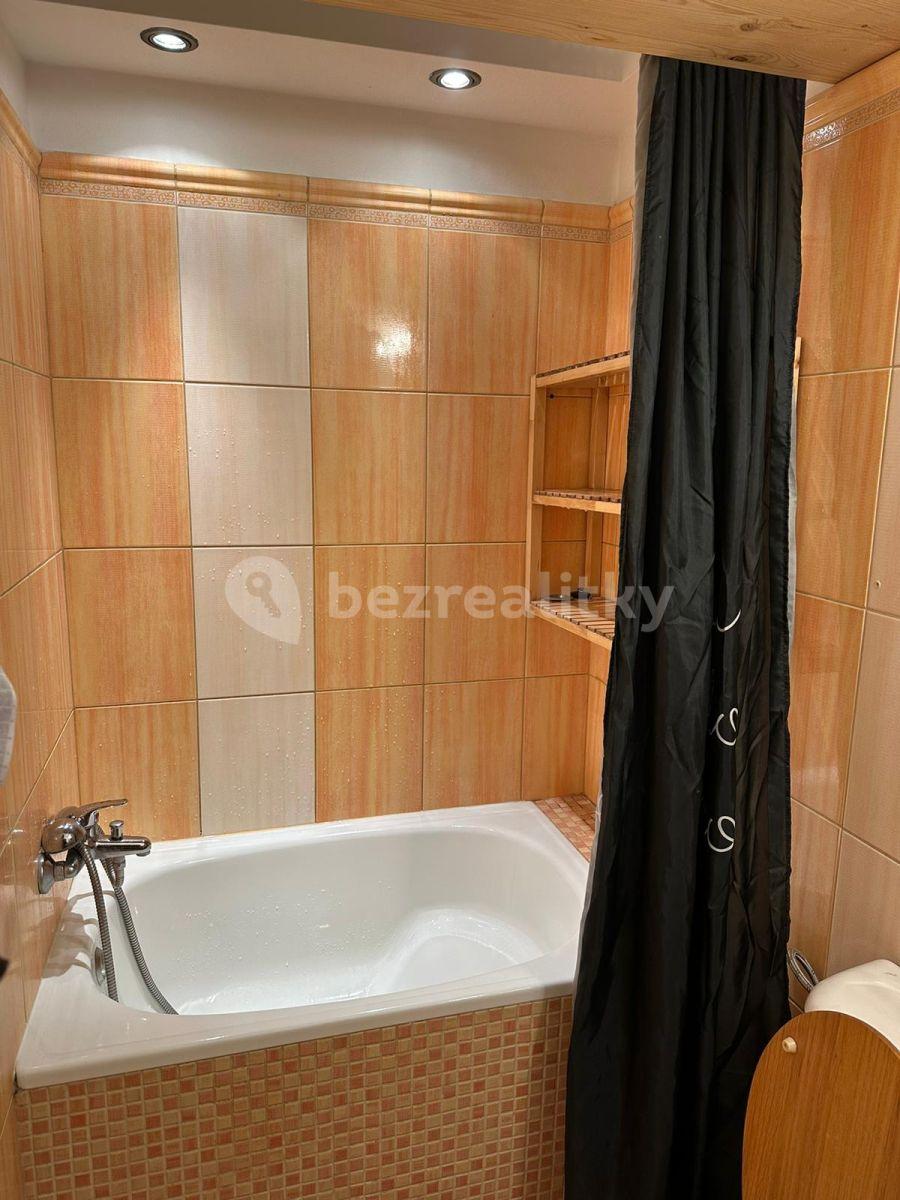 1 bedroom with open-plan kitchen flat to rent, 45 m², Novákových, Prague, Prague