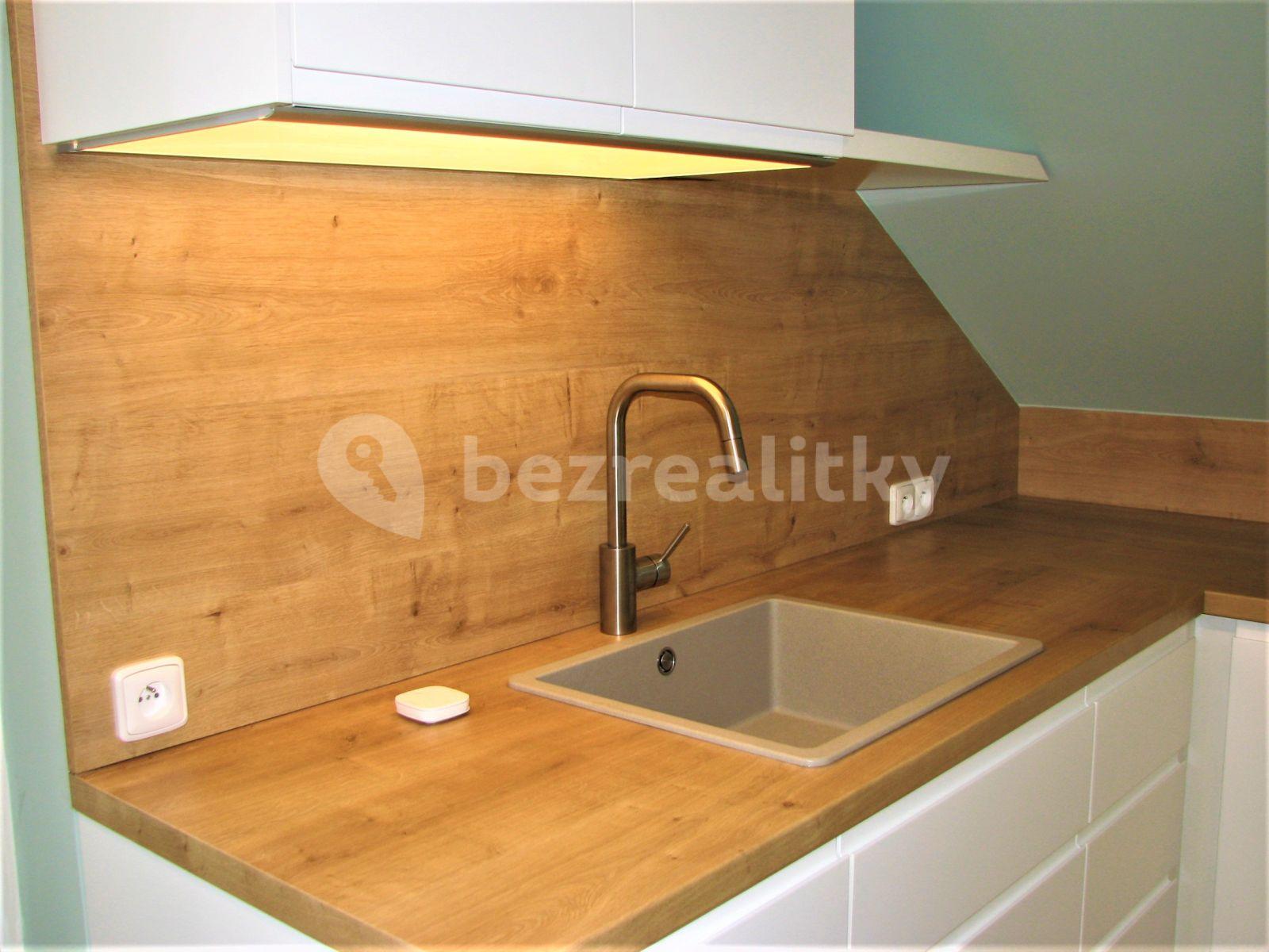 1 bedroom with open-plan kitchen flat to rent, 72 m², Mezitraťová, Prague, Prague