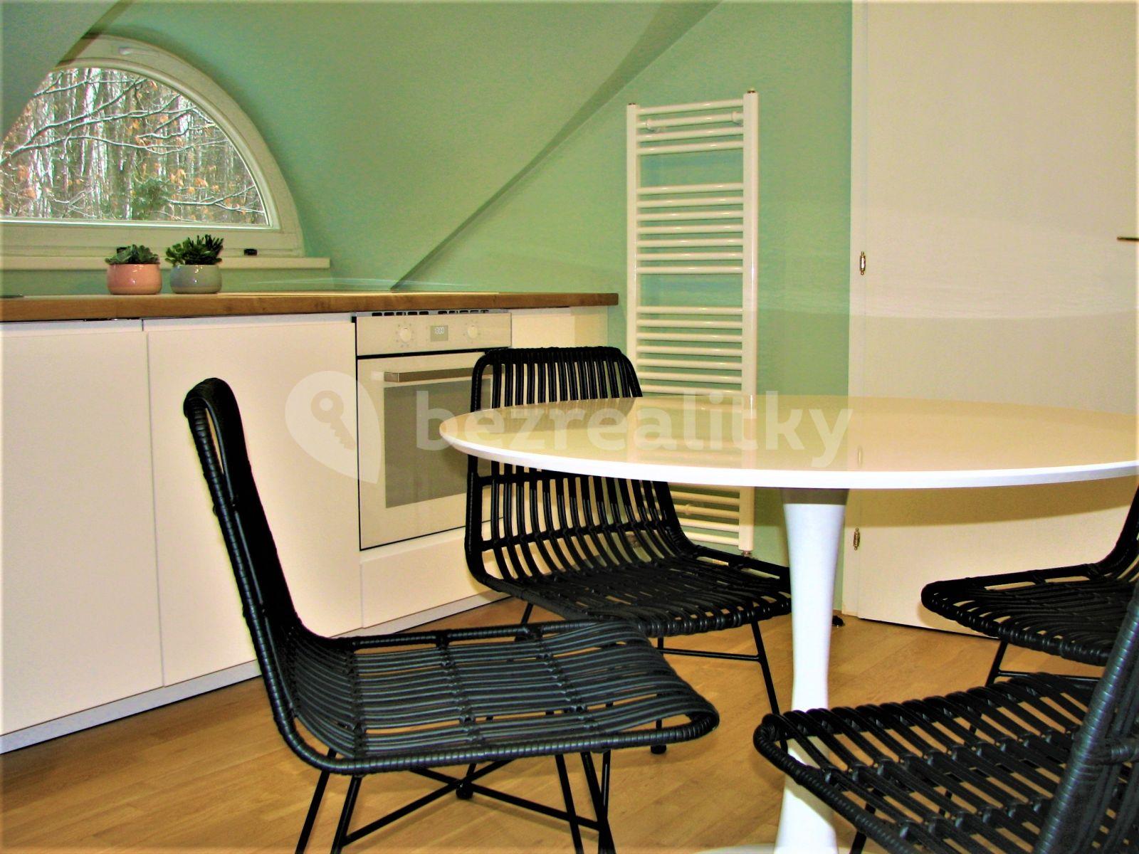 1 bedroom with open-plan kitchen flat to rent, 72 m², Mezitraťová, Prague, Prague