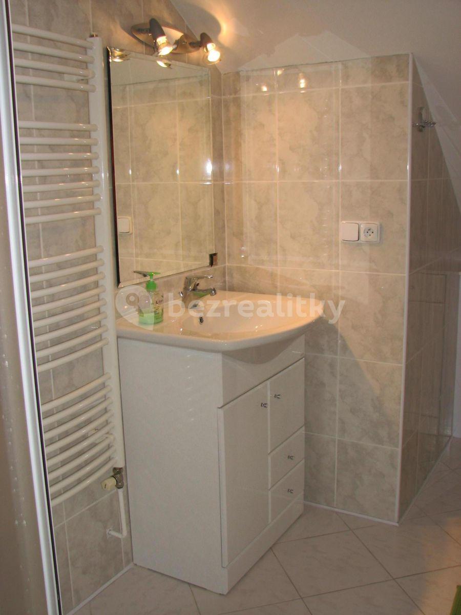 1 bedroom with open-plan kitchen flat to rent, 72 m², Mezitraťová, Prague, Prague