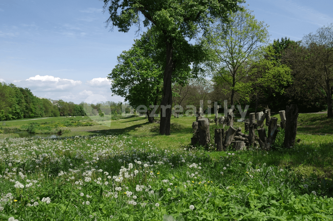 1 bedroom with open-plan kitchen flat to rent, 72 m², Mezitraťová, Prague, Prague