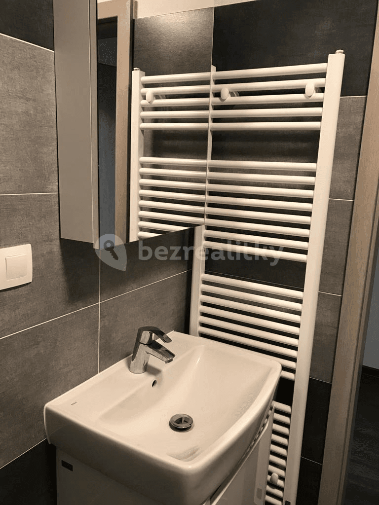 Studio flat to rent, 41 m², Letovská, Prague, Prague