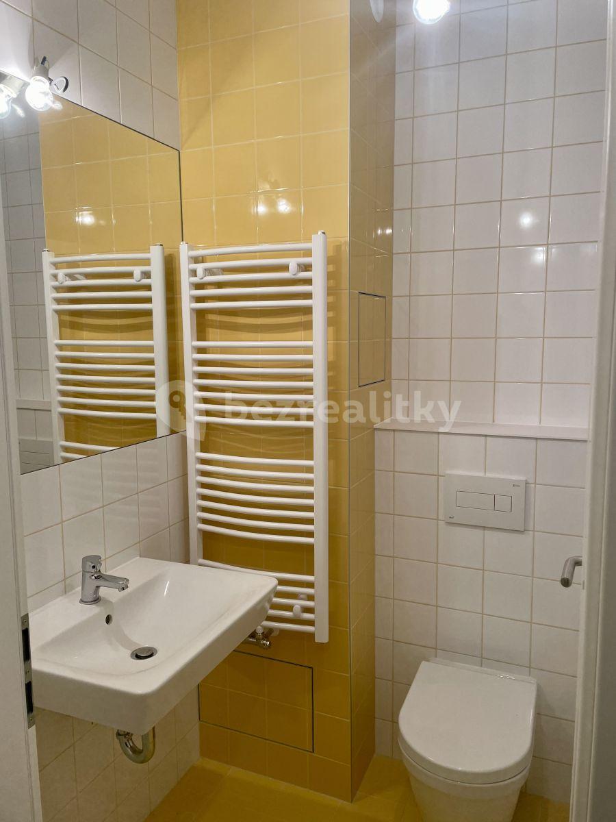 Studio flat to rent, 23 m², Poděbradská, Prague, Prague