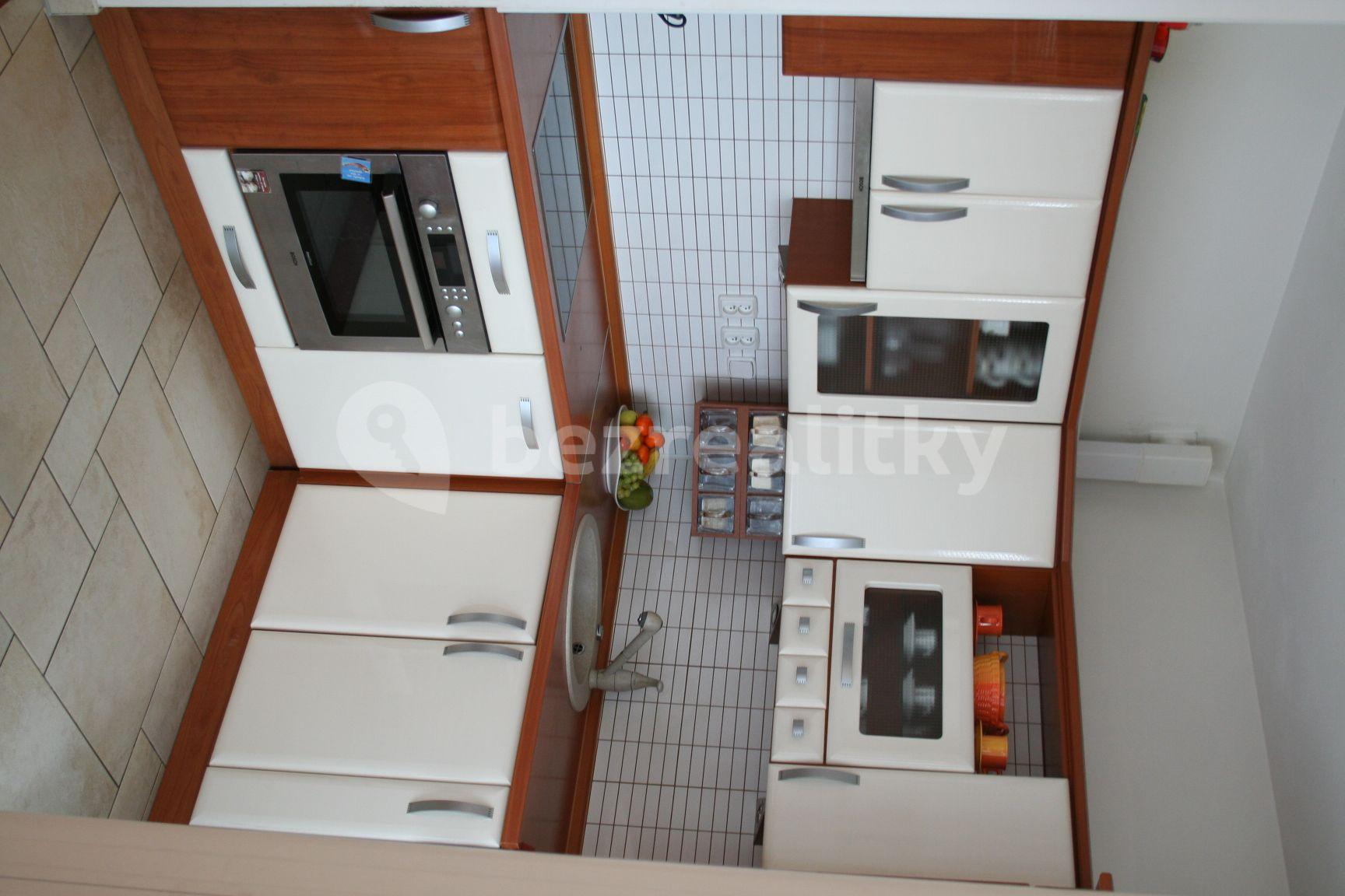 1 bedroom with open-plan kitchen flat to rent, 70 m², Mattioliho, Prague, Prague