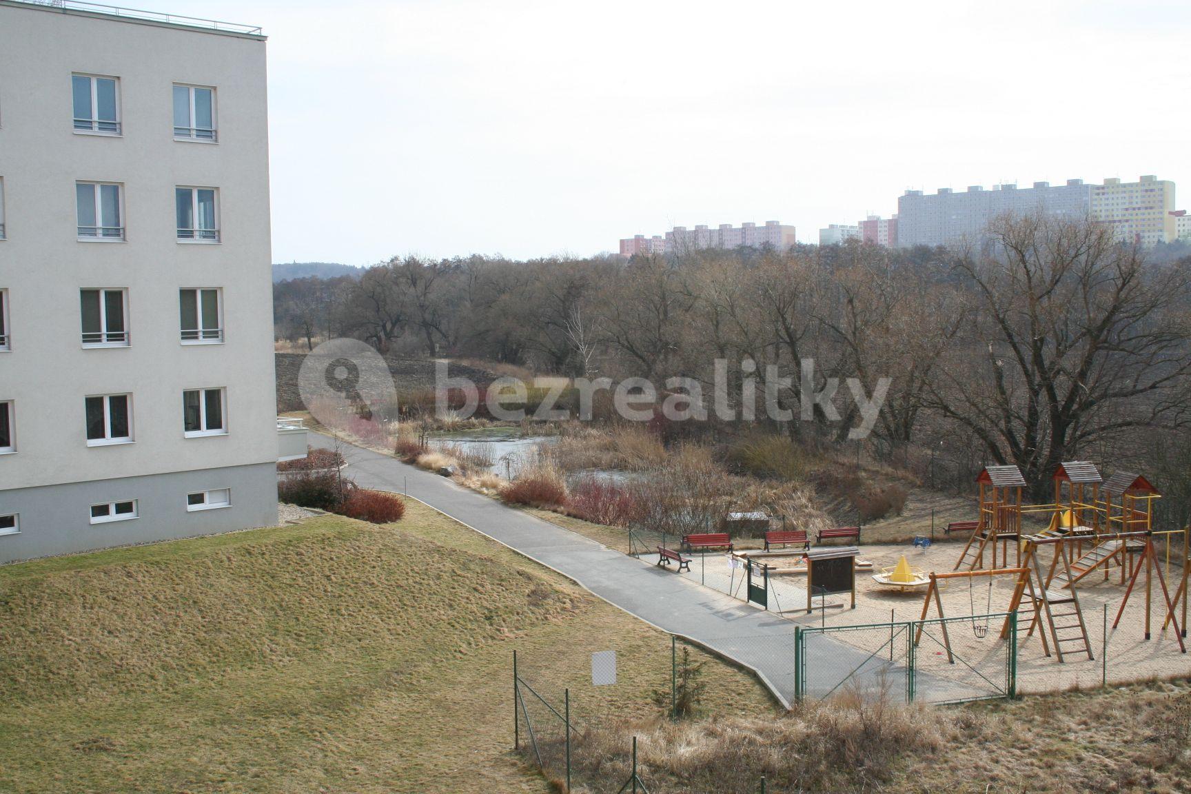 1 bedroom with open-plan kitchen flat to rent, 70 m², Mattioliho, Prague, Prague