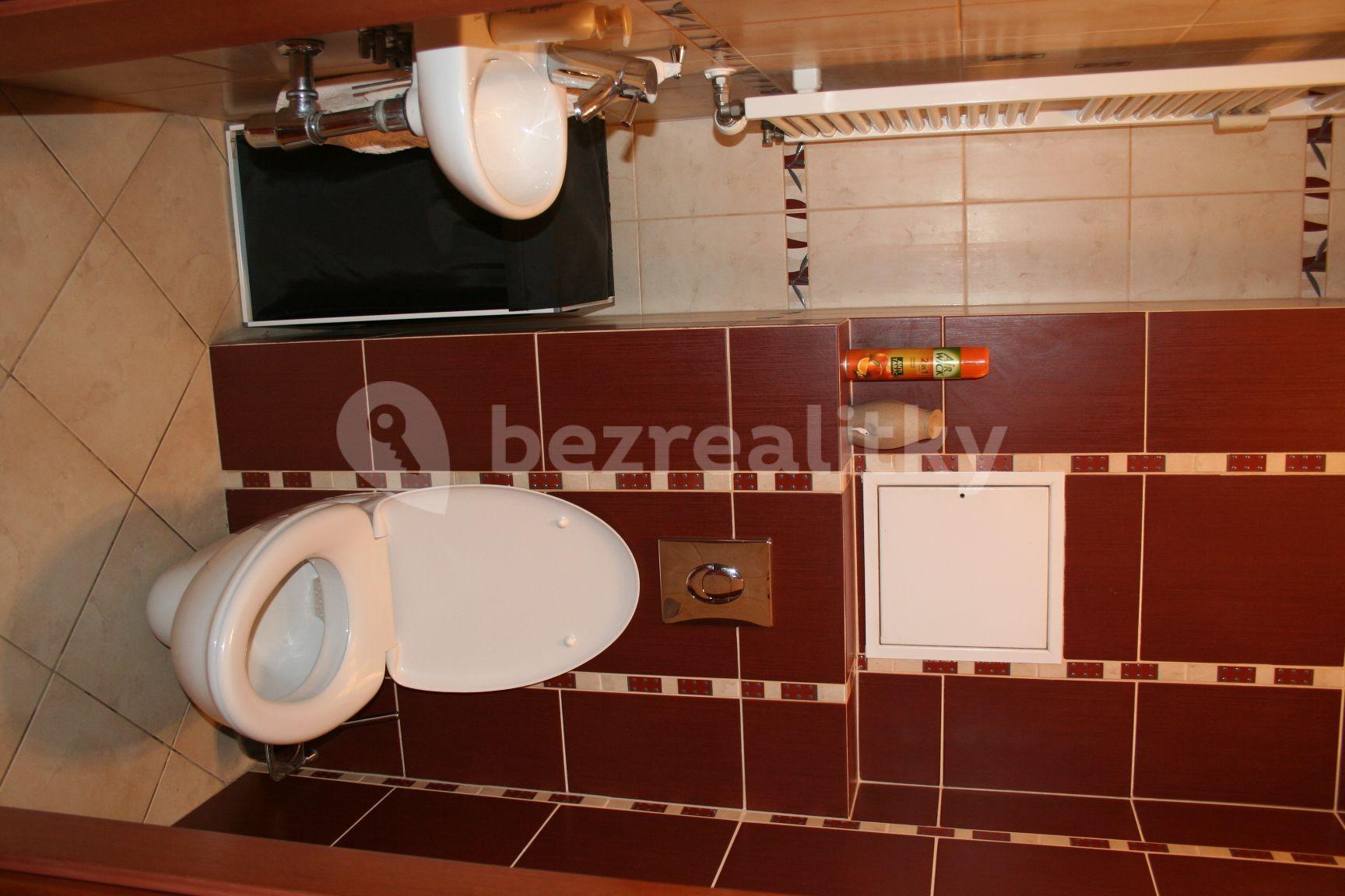 1 bedroom with open-plan kitchen flat to rent, 70 m², Mattioliho, Prague, Prague